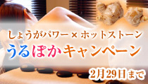 ���傤���p���[�~�z�b�g�X�g�[���@����ۂ��L�����y�[��